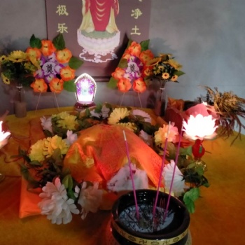 杭州念尼噢寵物火化殯葬服務(wù)，24小時(shí)上門接，距離近，口碑好