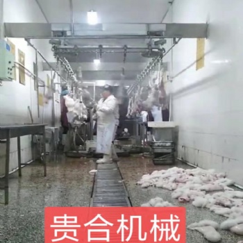 肉兔屠宰加工生產(chǎn)線 兔子屠宰機(jī)械定制 家兔屠宰視頻