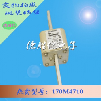 巴斯曼熔斷器 170M4710 現貨全新 量多可詢