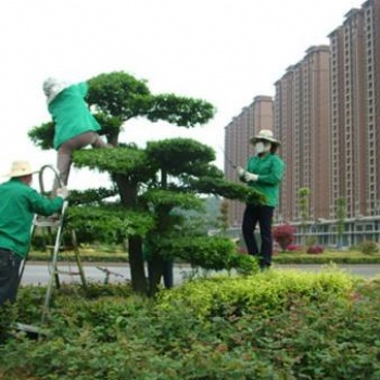承接別墅綠化養護，私家花園綠化保養，廠區綠地管理