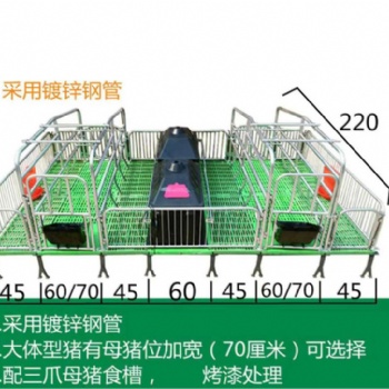 廠家供應(yīng)熱鍍鋅加厚母豬產(chǎn)床復(fù)合板母豬產(chǎn)床產(chǎn)床生產(chǎn)批發(fā)