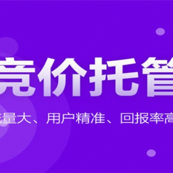 廣東競價托管外包代運(yùn)營公司
