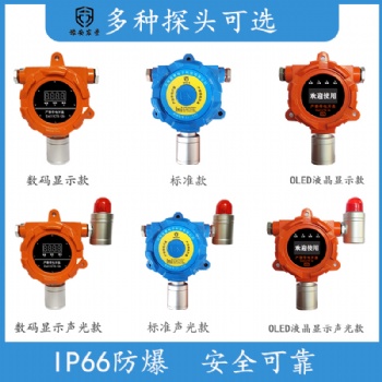 可燃?xì)怏w探測器一氧化碳報(bào)警器