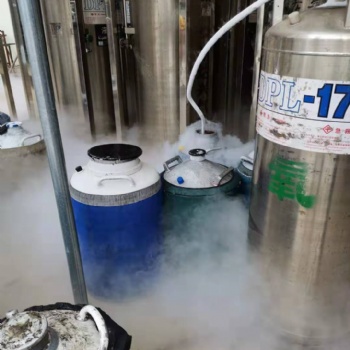 光明液氮供應(yīng) 10升小液氮罐出租 光明氮氣配送