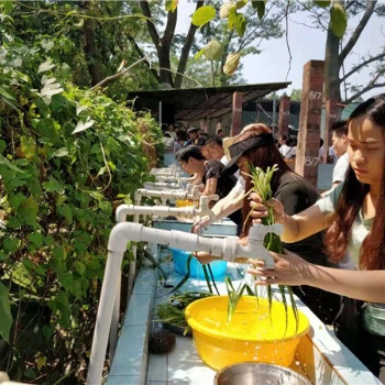 深圳寶安區(qū)農(nóng)家樂，深圳農(nóng)家樂團(tuán)建拓展，深圳周邊好玩的農(nóng)家樂