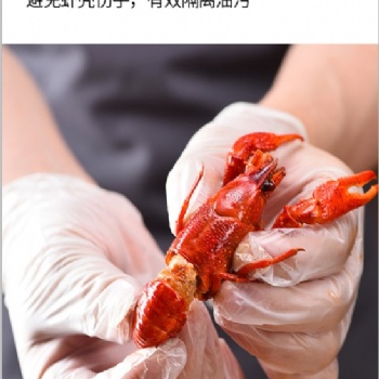 家用防護手套 透明一次性PVC手套批發(fā)