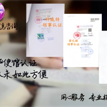 巴林領(lǐng)事認證驗資報告·公司登記證·審計報告