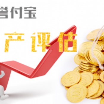譽付寶海峽資產評估，專業評估機構，15年運營經驗