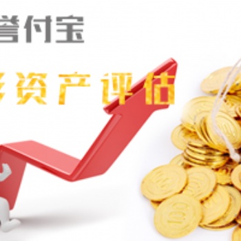 專業(yè)提供無形資產(chǎn)評估,官方認(rèn)可資產(chǎn)評估公司大品牌!
