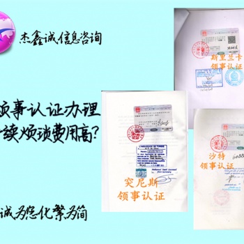 財務審計領館蓋章*愛沙尼亞領館財務審計認證*愛沙尼亞領館蓋章