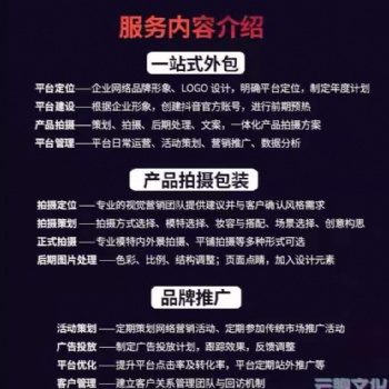抖音認(rèn)證MCN 策劃拍攝剪輯發(fā)布**運(yùn)營