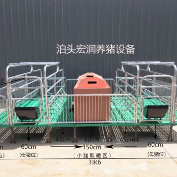 河北養豬設備 批發價格 雙體豬產床