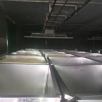 信陽大型商用豆芽生產(chǎn)線設備廠家供應