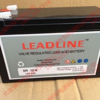 瑞士LEADLINE蓄電池EVR1218精密儀器設(shè)備UPS不間斷電源