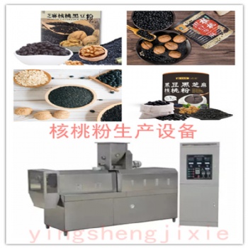 營養(yǎng)粉生產(chǎn)線五谷雜糧膨化機(jī)