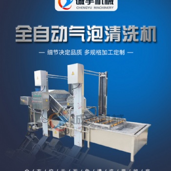 誠宇多功能氣泡清洗機 石榴果清洗機 桑葚清洗設(shè)備