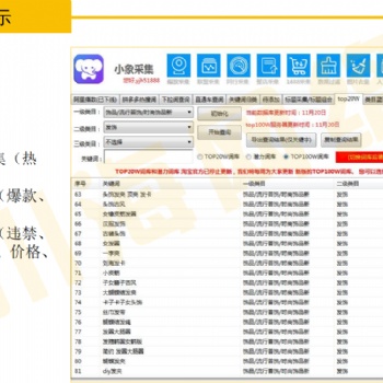 拼多多店群采集上貨過濾軟件貼牌，一對一服務(wù)指導招商