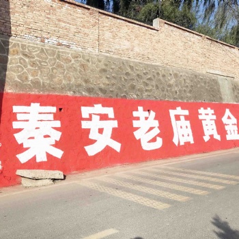 鄭州刷墻寫廣告點(diǎn)燃你的消費(fèi)力鄭州家居墻體廣告