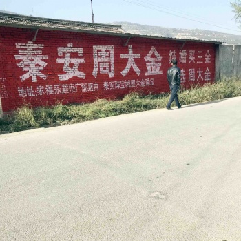 閻良區(qū)圍墻標(biāo)語廣告億達百花齊放
