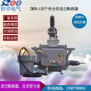 ZW20智能看門(mén)狗 智能分界開(kāi)關(guān) 廠家**