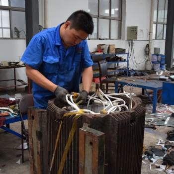 臨龍水泵電機(jī)的正確使用
