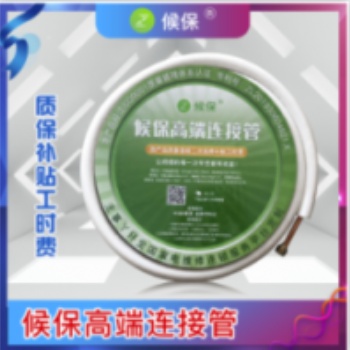 主事丫環(huán)候保高端連接管