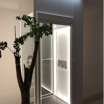 四川專業定制別墅電梯，家用電梯，觀光電梯，液壓梯