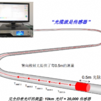 倉儲貨架安全在線監(jiān)測系統(tǒng)TMP-ANG-S002