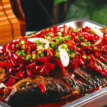 開一家蜀江烤魚加盟費(fèi)用