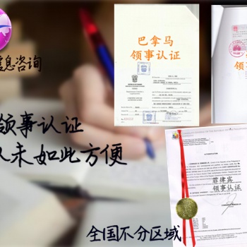 智利單身公證使館蓋章