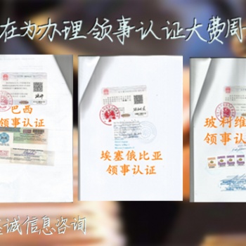 孟加拉大使館認證財務(wù)審計/公司損益表