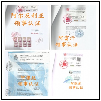 巴西銀行存款公證，結婚公證，駕照公證書領館認證