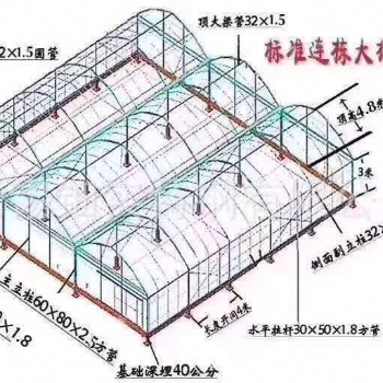 天津市鑫駿通達農業科技有限公司連棟大棚