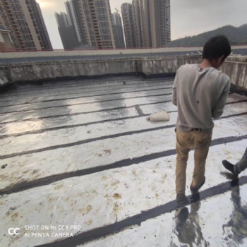 佛山鐵皮瓦防水補漏佛山專業(yè)彩鋼瓦滲水補漏公司