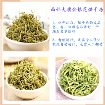 西部大旗金銀花烘干機(jī)烘干房