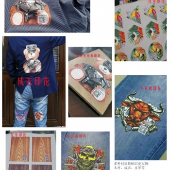 見證歷史時刻 ——鴻盛數碼推出革命性的棉織物和多種介質DTF熱轉印方案