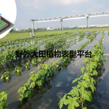 傳送帶植物生長(zhǎng)平臺(tái)擔(dān)負(fù)輸送植物樣品移動(dòng)