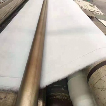 現(xiàn)貨供應(yīng)長(zhǎng)絲土工布護(hù)坡加固園林綠化項(xiàng)目白色長(zhǎng)絲土工布