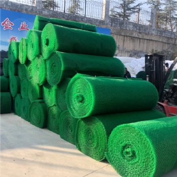 湖北護(hù)坡草皮三維土工網(wǎng) em3三維植被網(wǎng) 噴播植草三維網(wǎng)單價(jià)
