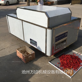 煙臺小型櫻桃去核機(jī)工藝精良