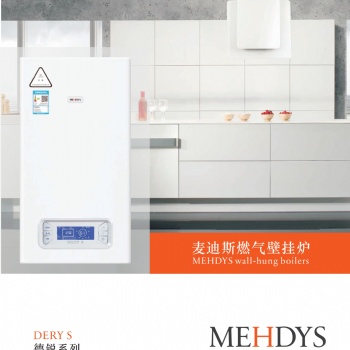 麥迪斯DERYS36燃?xì)獗趻鞝t
