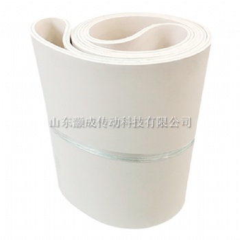 章丘華鋒橡塑生產(chǎn)加工 切菜機(jī)輸送帶 橡膠傳送帶 純膠皮帶