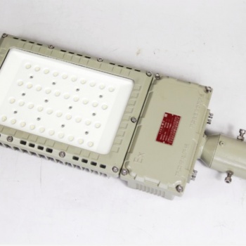 冠奕達(dá)GYD970L系列防爆路燈、防爆街道燈、防爆馬路燈50W-250W