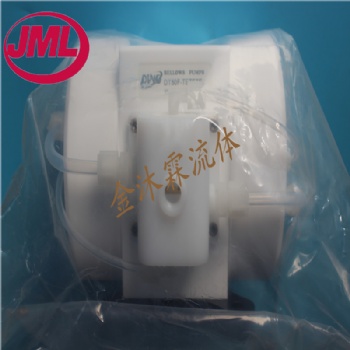 現(xiàn)貨供應DINO電子級風囊泵，DT100-TETETE，PTFE隔膜泵