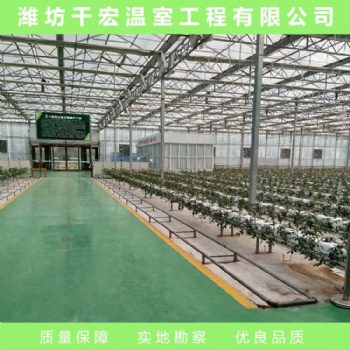 玻璃溫室 玻璃溫室建造 江西玻璃溫室設(shè)計