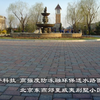 透水地磚/普通連鎖路面磚/小墻磚/美國(guó)磚/歐式轉(zhuǎn)/帽石 /草坪磚/廣場(chǎng)磚/面包磚/實(shí)心磚/步道磚