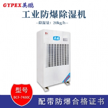 山東涂料廠防爆除濕機(jī)