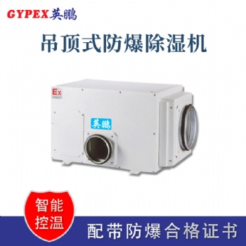 南京實(shí)驗(yàn)室吊頂式防爆除濕機(jī)