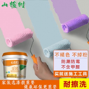 金裝防霉乳膠漆內墻漆