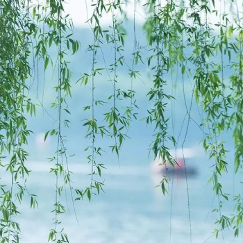 古琴彈奏的速度和細節(jié)
